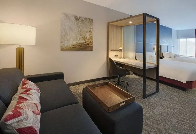 スイート, Springhill Suites By Marriott Hampton Portsmouth