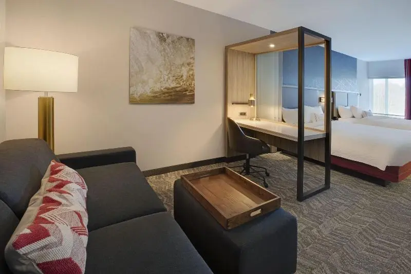 キングサイズベッドのスイートルーム, Springhill Suites By Marriott Hampton Portsmouth