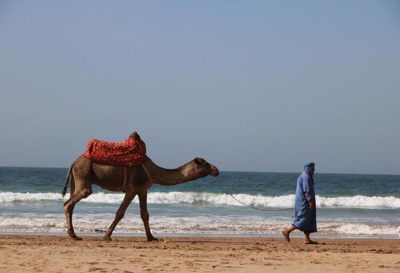 شقة غرفة واحدة مطلة على البحر, Single Fin Beach House