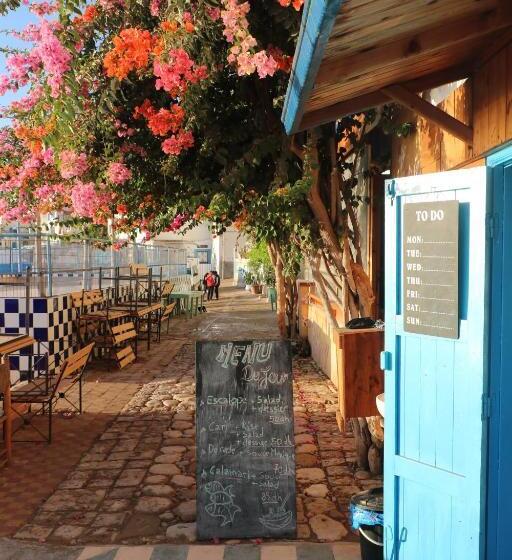 شقة غرفة واحدة مطلة على البحر, Single Fin Beach House