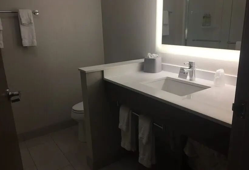 スタンダードルーム, Holiday Inn Express & Suites Junction, An Ihg