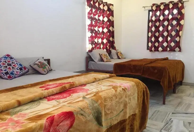 Geteiltes Mehrbettzimmer, Zoola Palace