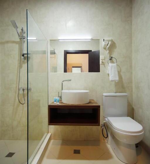 اتاق استاندارد, Sani Kutaisi