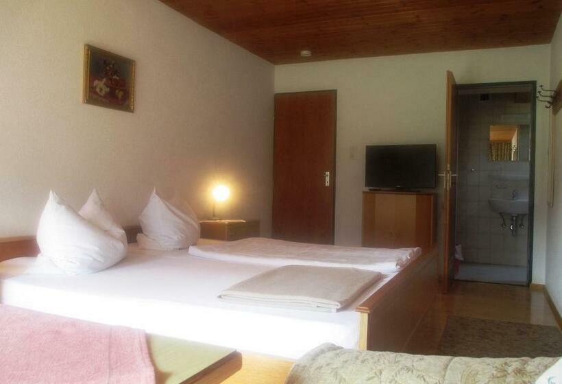 חדר סטנדרט יחיד עם מרפסת, Bräulerhof