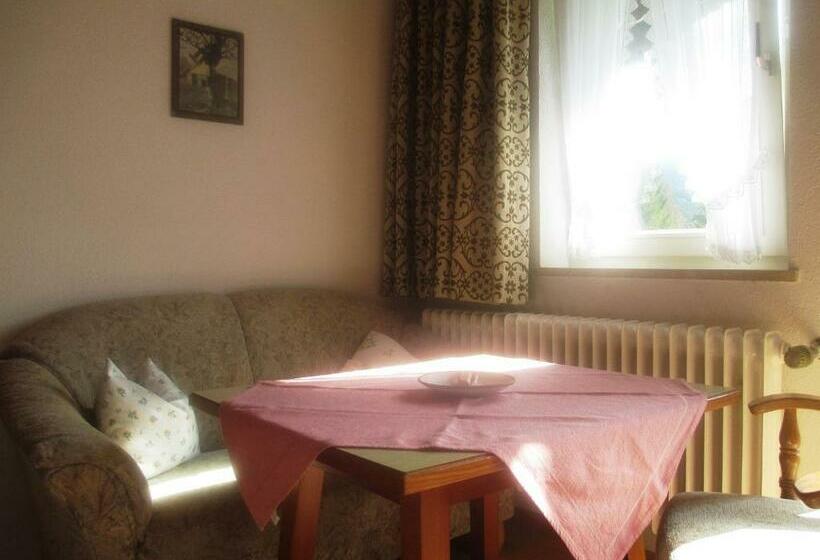 חדר סטנדרט יחיד עם מרפסת, Bräulerhof