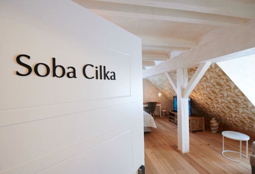 اتاق سوپریور, Hiša Ančka, Boutique Hotel & Maja Rooms