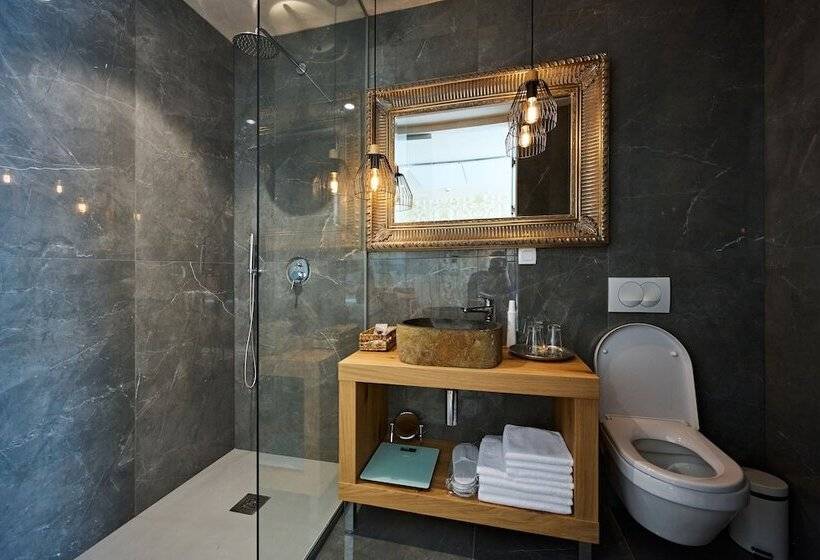 آپارتمان سوپریور 1 خوابه, Hiša Ančka, Boutique Hotel & Maja Rooms