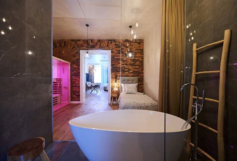 آپارتمان لوکس 1 خوابه, Hiša Ančka, Boutique Hotel & Maja Rooms