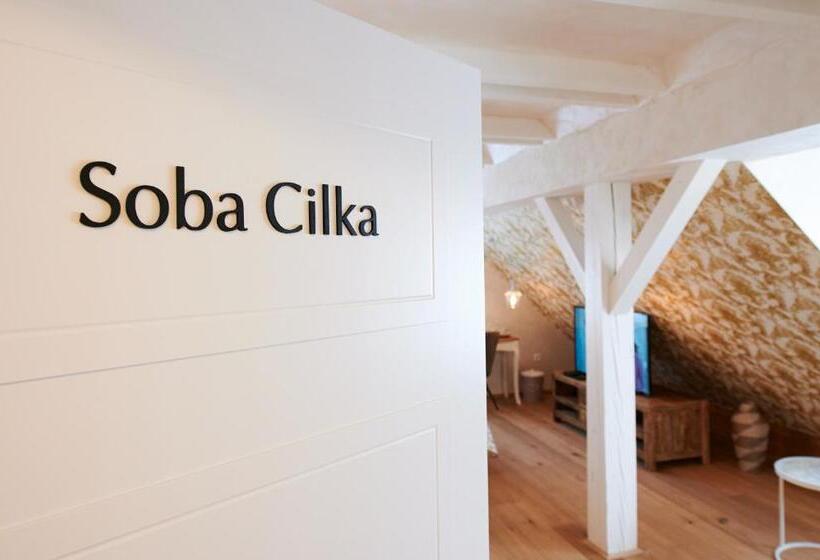 اتاق سوپریور, Hiša Ančka, Boutique Hotel & Maja Rooms