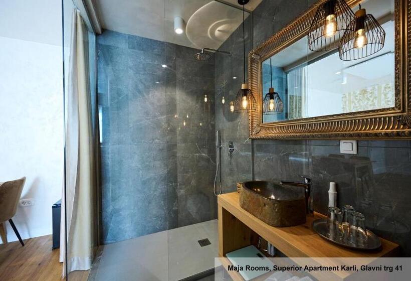 آپارتمان سوپریور 1 خوابه, Hiša Ančka, Boutique Hotel & Maja Rooms