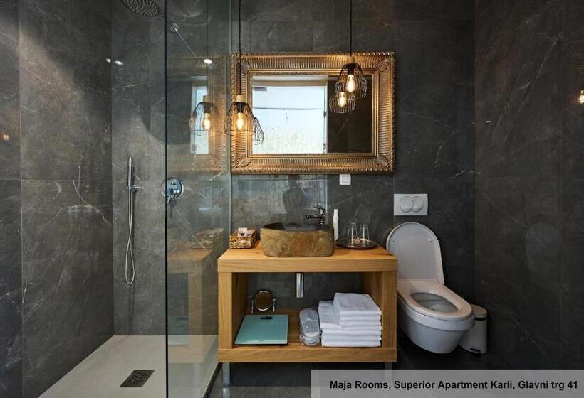 آپارتمان سوپریور 1 خوابه, Hiša Ančka, Boutique Hotel & Maja Rooms