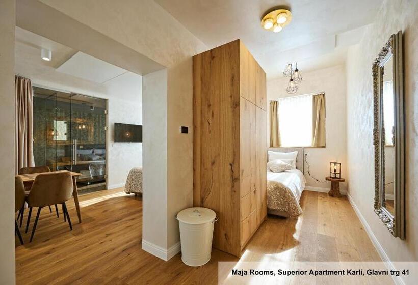 آپارتمان سوپریور 1 خوابه, Hiša Ančka, Boutique Hotel & Maja Rooms