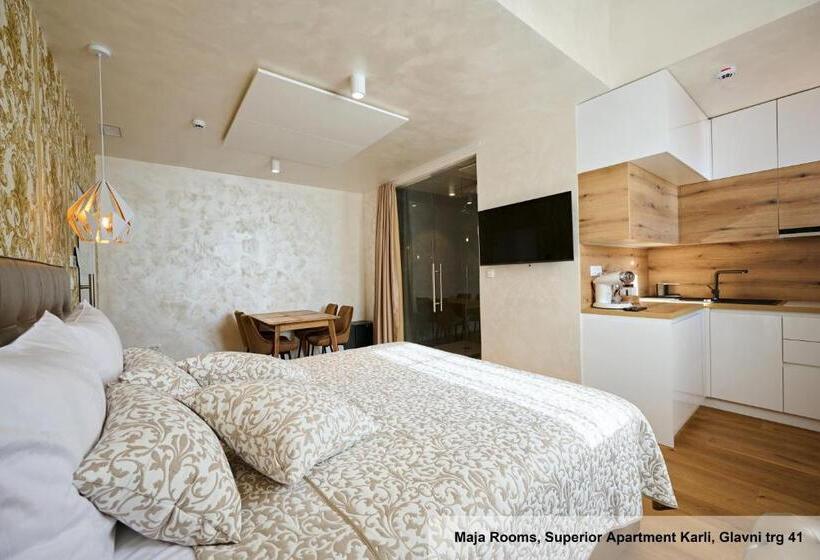 آپارتمان سوپریور 1 خوابه, Hiša Ančka, Boutique Hotel & Maja Rooms