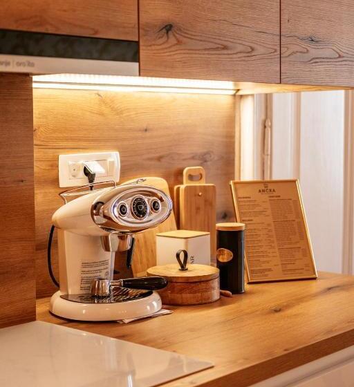 آپارتمان لوکس 1 خوابه, Hiša Ančka, Boutique Hotel & Maja Rooms