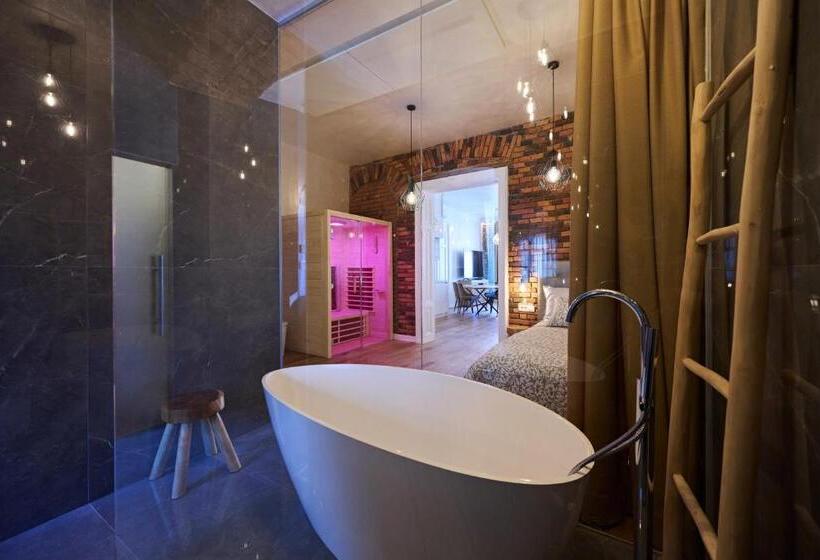 آپارتمان لوکس 1 خوابه, Hiša Ančka, Boutique Hotel & Maja Rooms