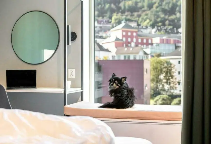 اتاق عادی, Citybox Bergen Danmarksplass
