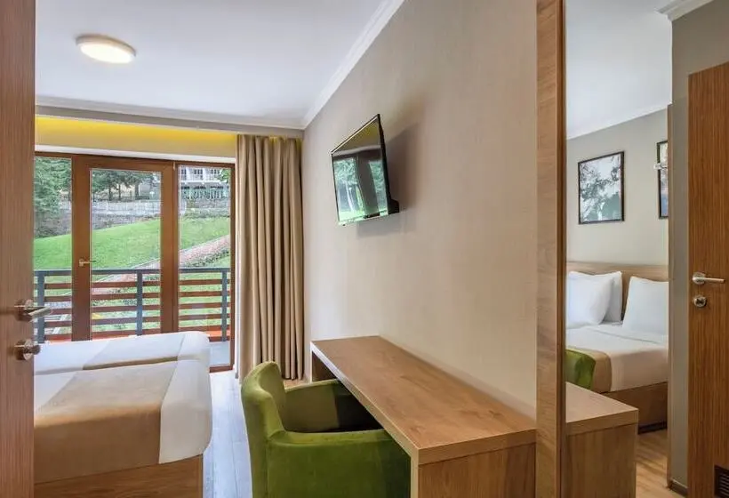 اتاق استاندارد با چشمانداز رودخانه, Sairme Hotels & Resorts