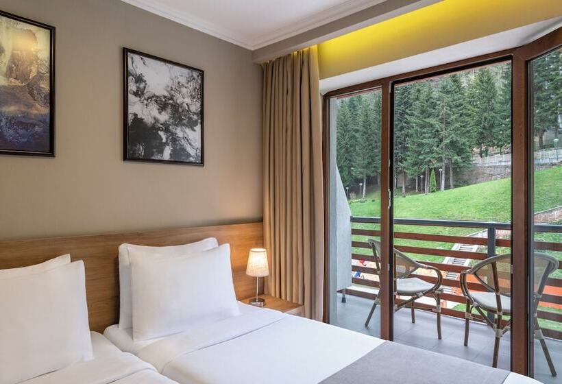 اتاق استاندارد با چشم‌انداز رودخانه, Sairme Hotels & Resorts