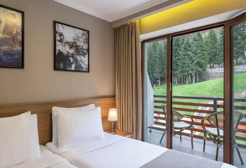 اتاق استاندارد با چشمانداز رودخانه, Sairme Hotels & Resorts