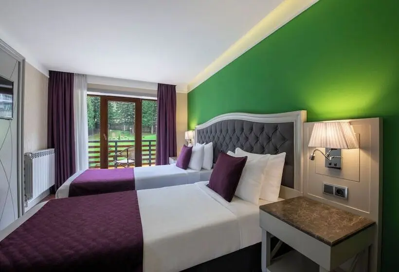 سوییت اجرایی, Sairme Hotels & Resorts