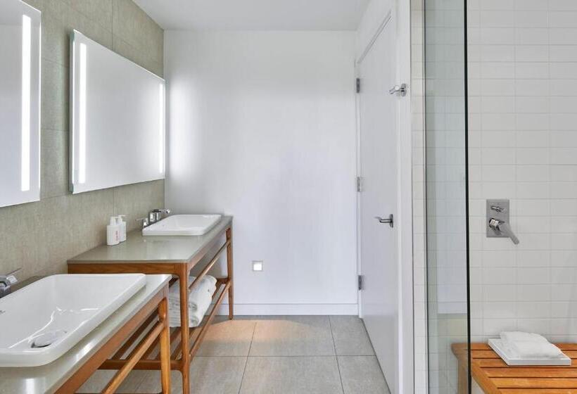 스탠다드 룸 킹사이즈 침대, The Sarasota Modern, A Tribute Portfolio