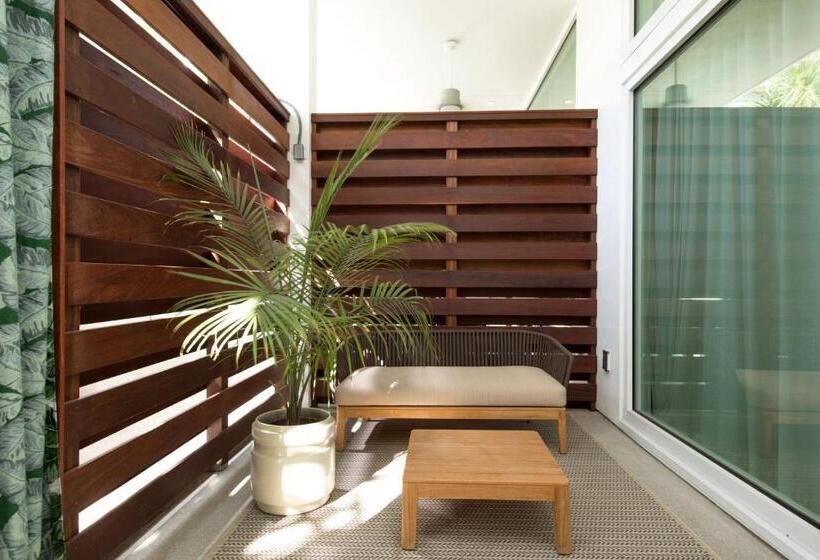 스탠다드 룸 킹사이즈 침대, The Sarasota Modern, A Tribute Portfolio