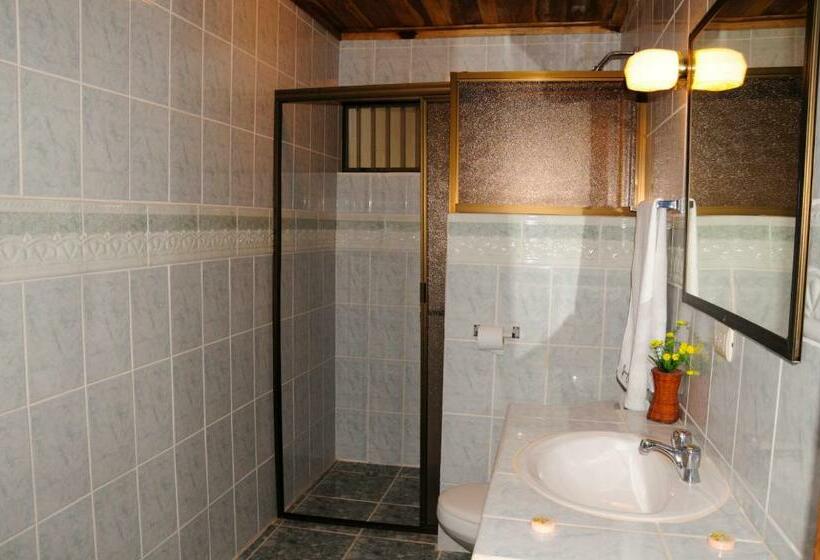 单人经济间, Javy