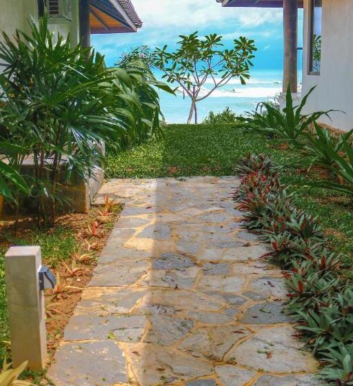 海景标准平房, Omia