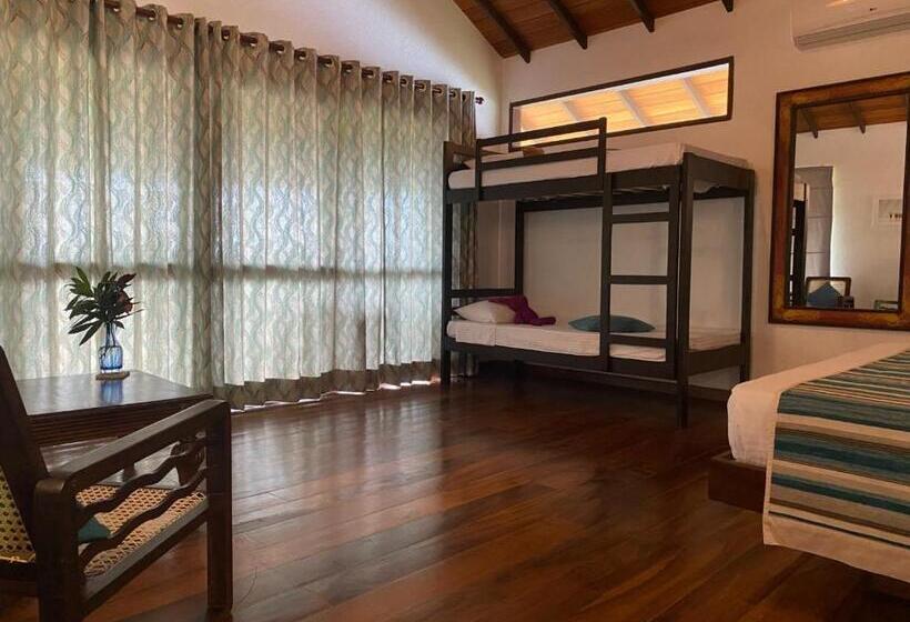 家庭海景房, Omia