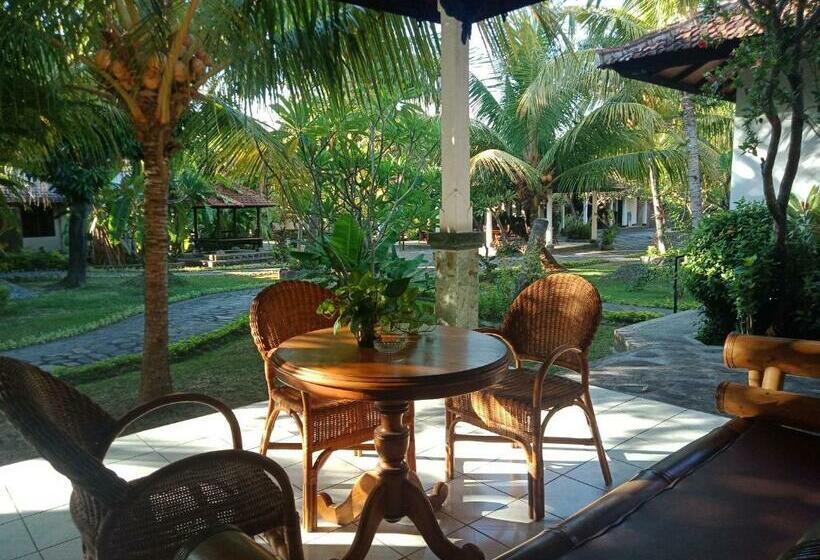 غرفة قياسية مزوَّدة بشُرفة, Rini