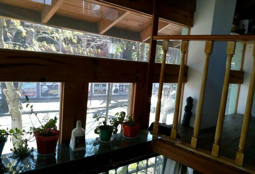 Семейный Номер, Bicicleteria Don Perez