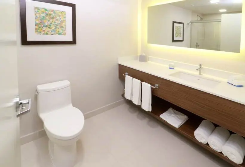 ダブルベッドスタンダードルーム, Holiday Inn Express & Suites   Playa Del Carmen, An Ihg