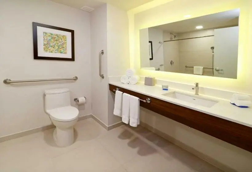 身障者適用キングサイズベッドルーム, Holiday Inn Express & Suites   Playa Del Carmen, An Ihg