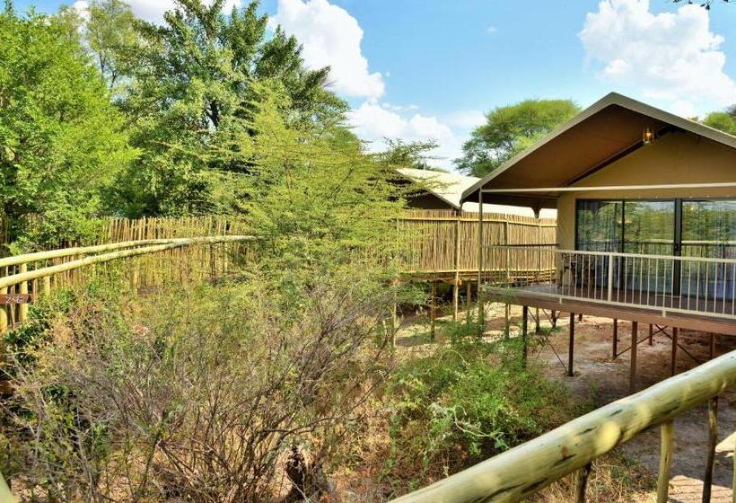 اتاق لوکس با چشمانداز, Jackalberry Chobe