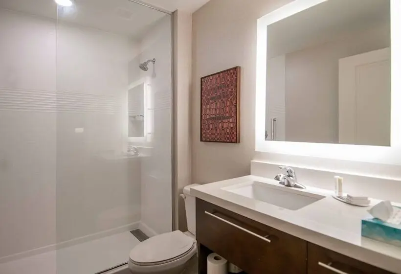 ダブルベッドのスタンダードスタジオ, Towneplace Suites By Marriott Vidalia Riverfront