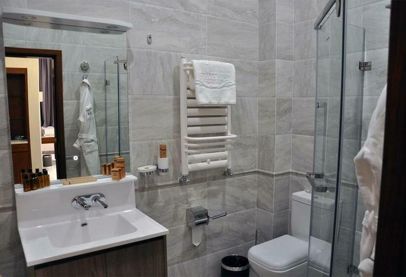 اتاق استاندارد یک نفره, Parliament Palace