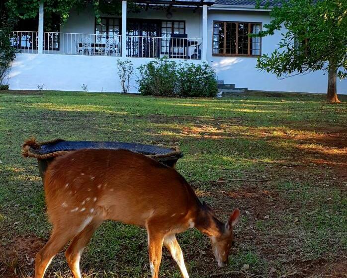 一居室别墅, Cairn Grace