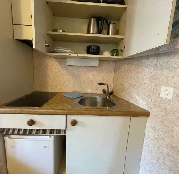 آپارتمان 1 خوابه, Downtown Apartment 9