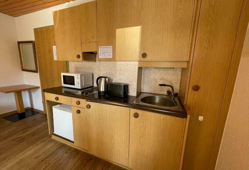 آپارتمان 1 خوابه با بالکن, Downtown Apartment 9