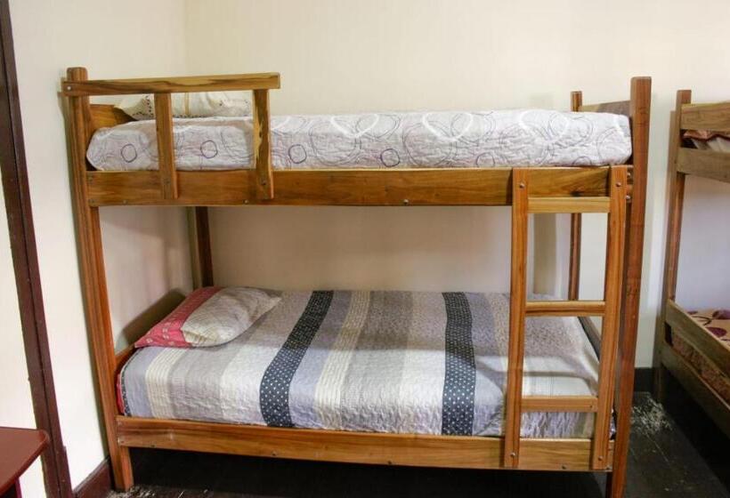 تختخواب در اتاق مشترک, Rummy Hostal