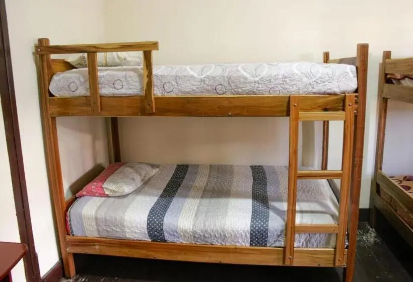 تختخواب در اتاق مشترک, Rummy Hostal