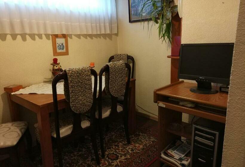 آپارتمان 1 خوابه, Apart Hotel Aleman