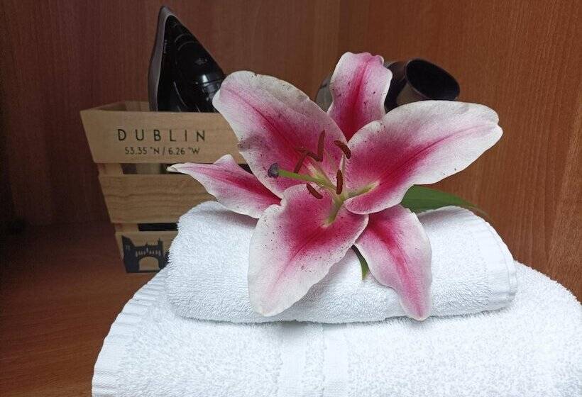 标准间, Tom Dick And Harriet S Accommodation