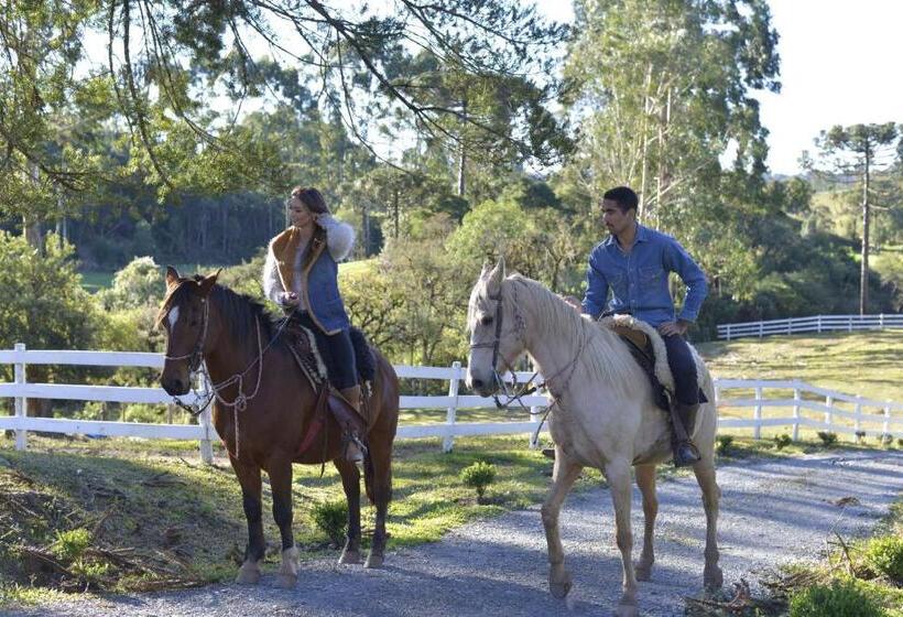 Шале Superior 1 Спальня, Pousada Recanto Dos Pôneis Rio Rufino Urubici