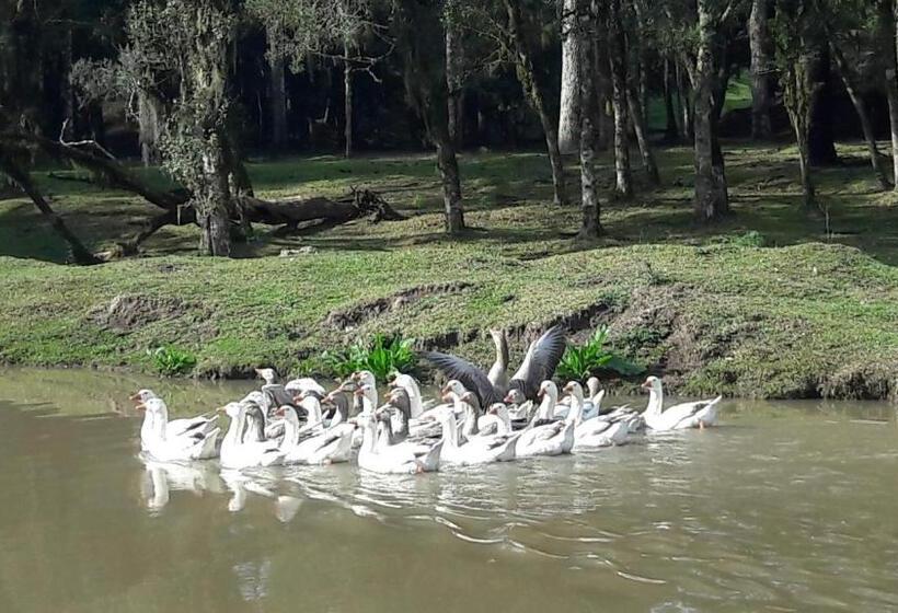 Шале 1 Спальня, Pousada Recanto Dos Pôneis Rio Rufino Urubici