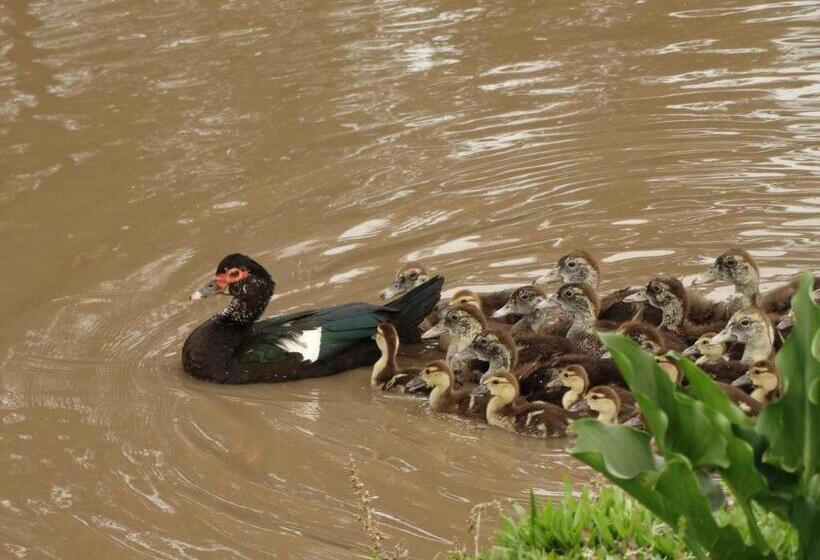 Шале 1 Спальня, Pousada Recanto Dos Pôneis Rio Rufino Urubici