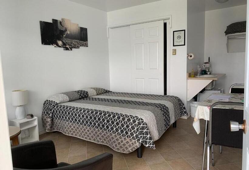 オーシャンビュースタンダードルーム, Les Studios De La Mer