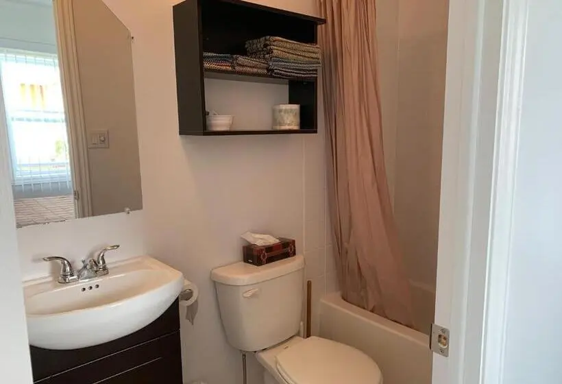 Standaard Vierpersoonskamer, Les Studios De La Mer