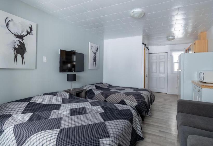 ガーデンビューのスタンダードワンルーム, Les Studios De La Mer