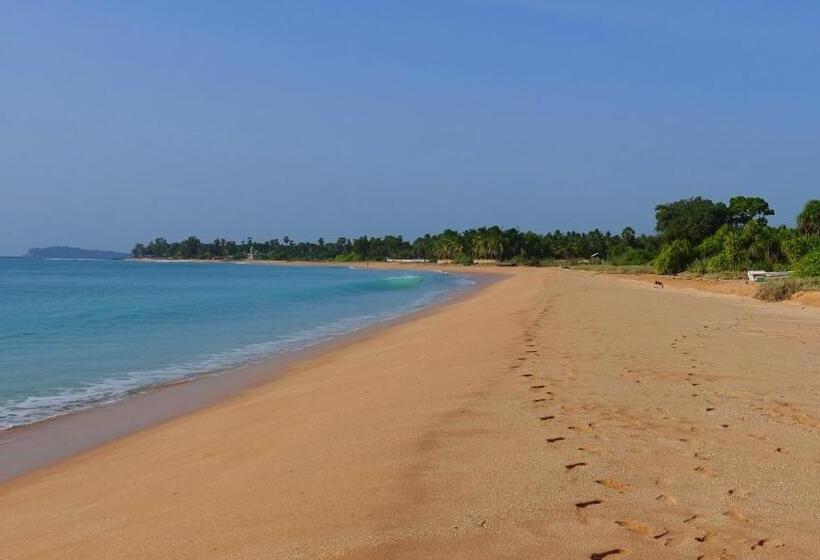 اتاق استاندارد, Regina Beach Bungalow
